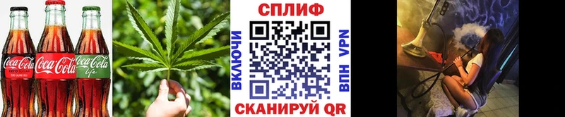 наркотики  Павловск  площадка состав  Cannafood конопля 