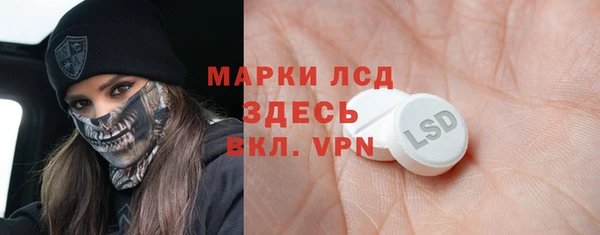 хмурый Магас