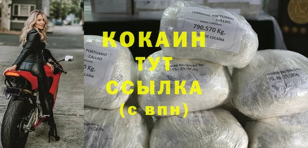 хмурый Магас