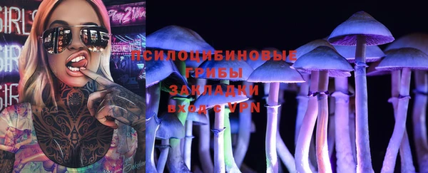 хмурый Магас