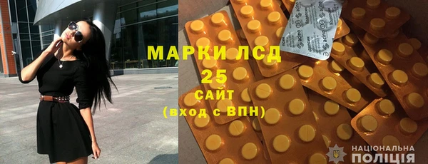 хмурый Магас