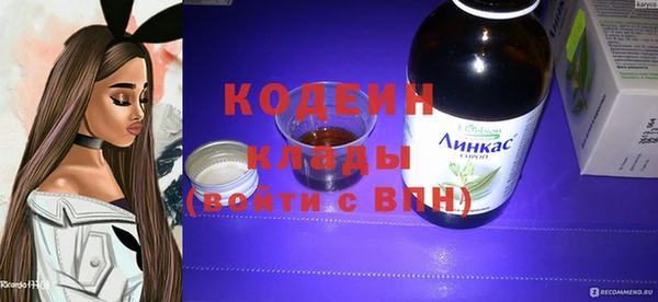 хмурый Магас