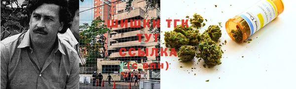 хмурый Магас