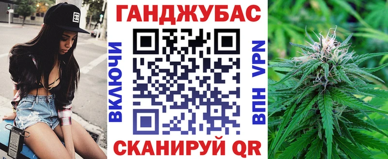 как найти Павловск Шишки марихуана SATIVA & INDICA